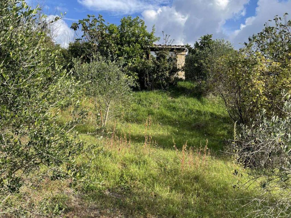 Rustico / casale a Arlena di castro - Foto 2