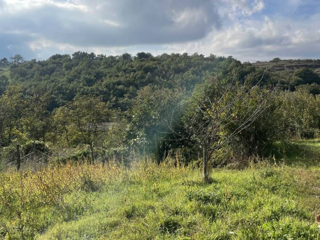 Rustico / casale a Arlena di castro - Foto 5