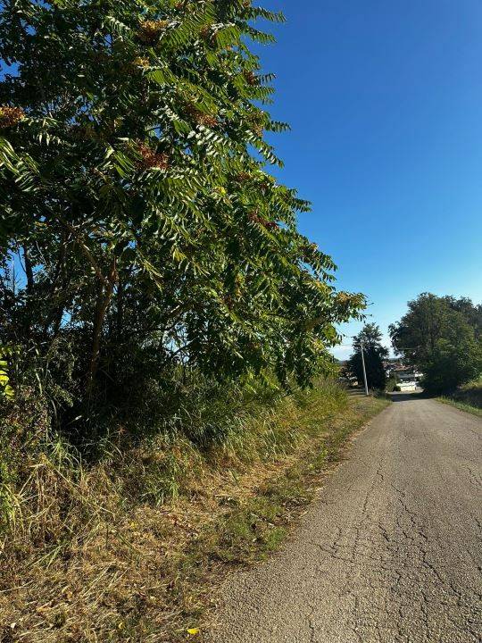 Terreno a Rosciano in Villa Oliveti - Foto 3