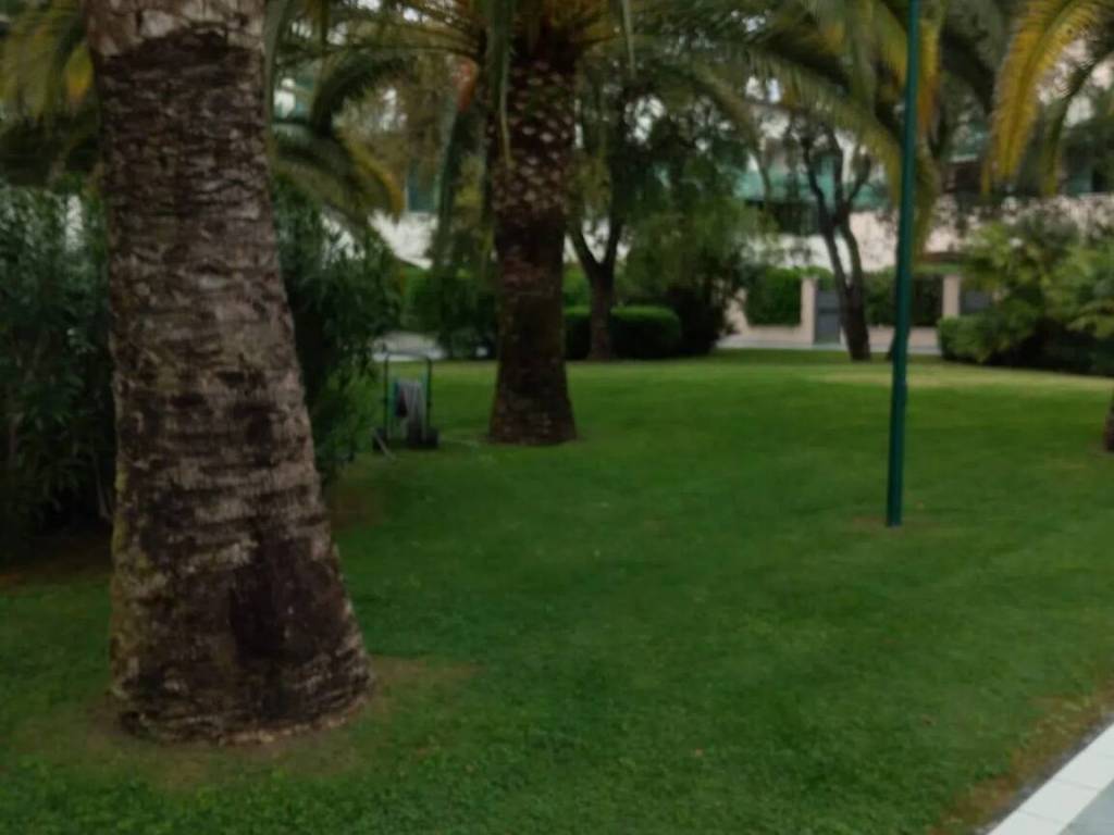 Appartamento a Seravezza in Urb. Querceta Querceta - Foto 5