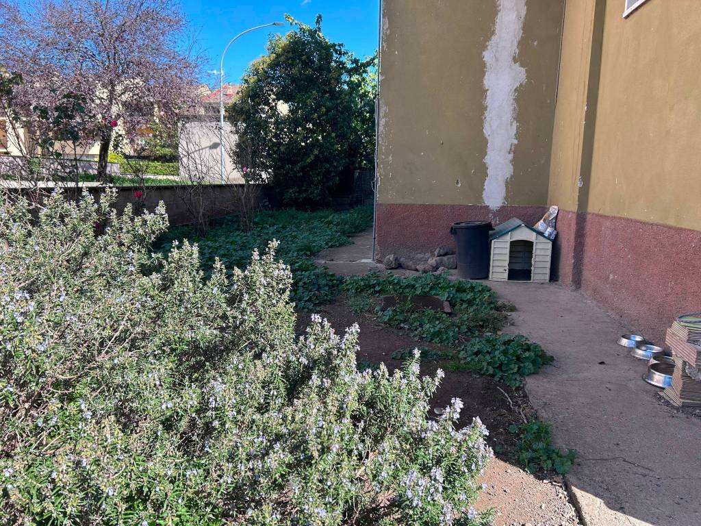 Palazzo / stabile a Tuscania in Via Canino, 88 - Foto 2