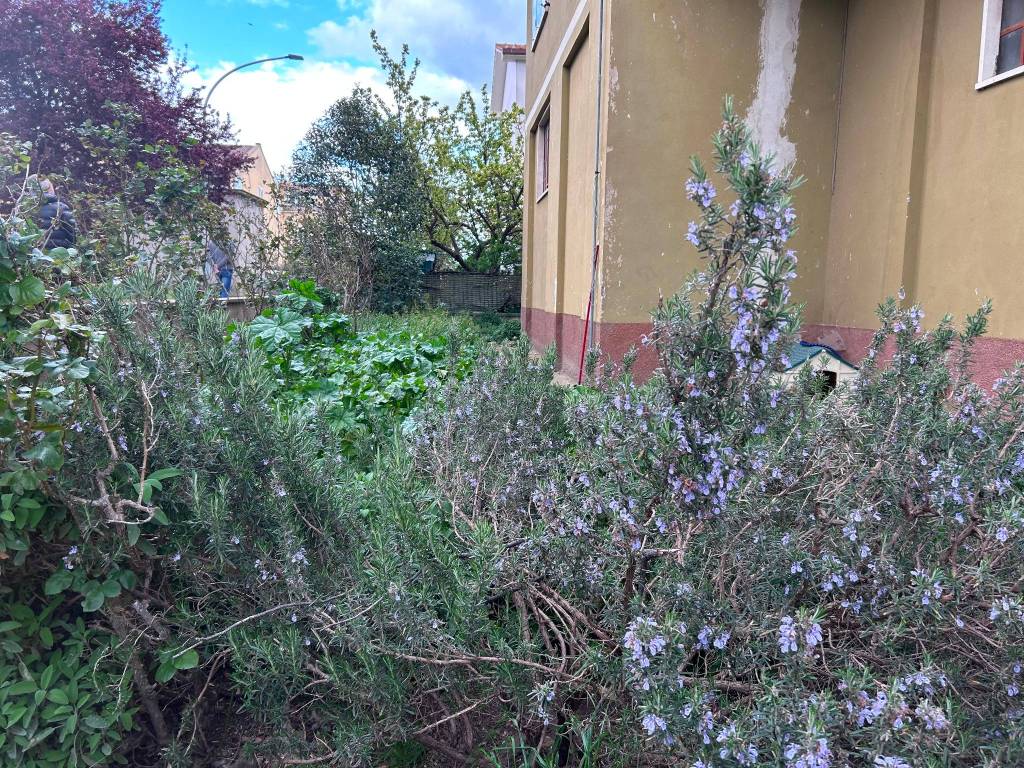 Palazzo / stabile a Tuscania in Via Canino, 88 - Foto 4