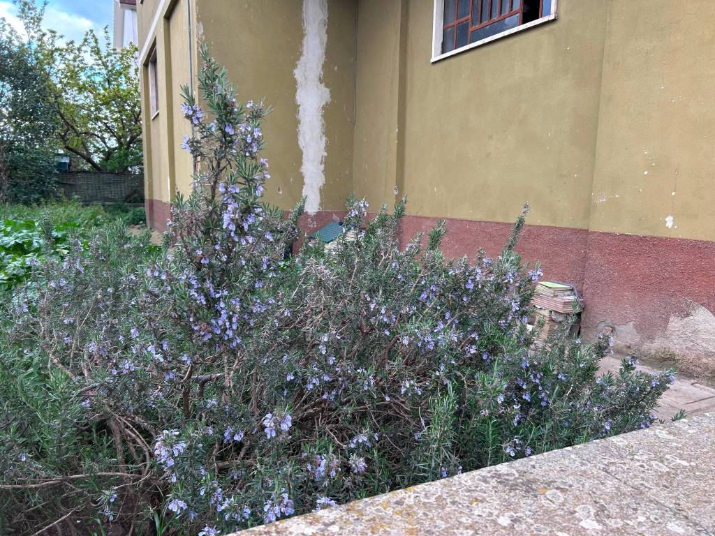 Palazzo / stabile a Tuscania in Via Canino, 88 - Foto 5