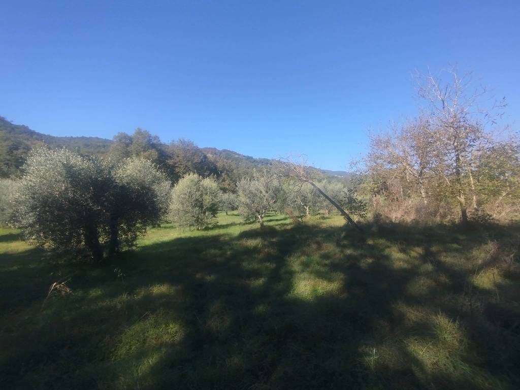 Rustico / casale a Subbiano - Foto 4