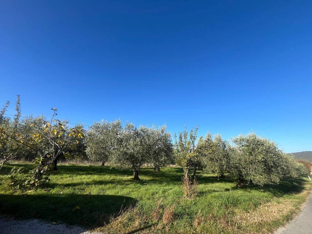 Villa a Piegaro in Vocabolo Ponibbiale - Foto 5