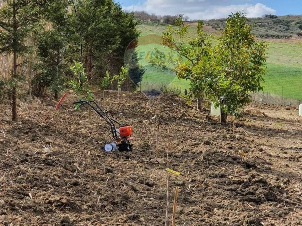Terreno a Erice in Lenzi Tanci - Foto 2