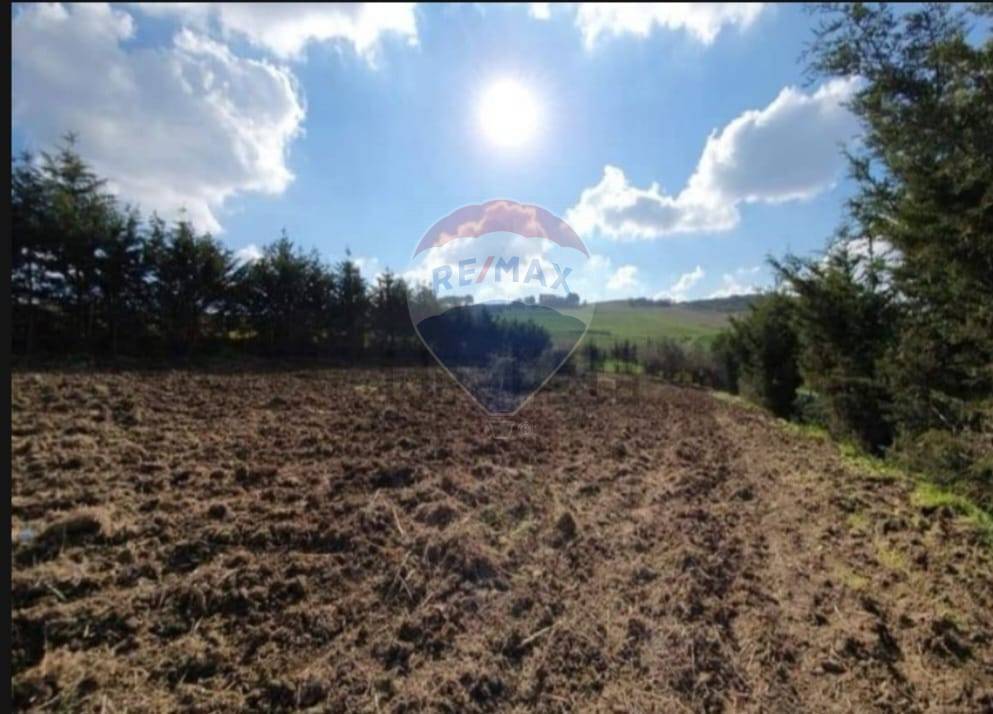 Terreno a Erice in Lenzi Tanci - Foto 3