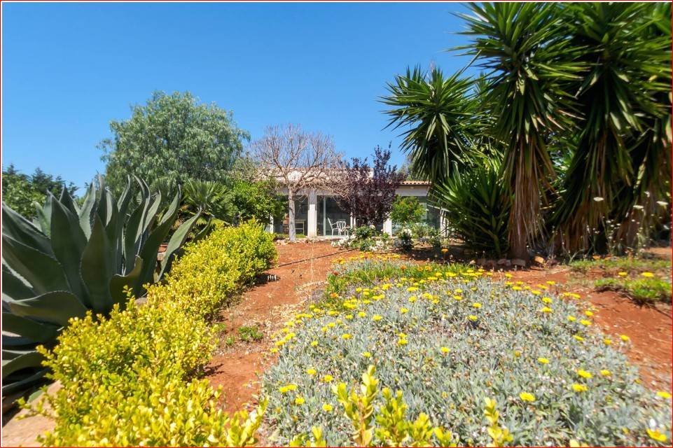 Villa a Morciano di leuca - Foto 3
