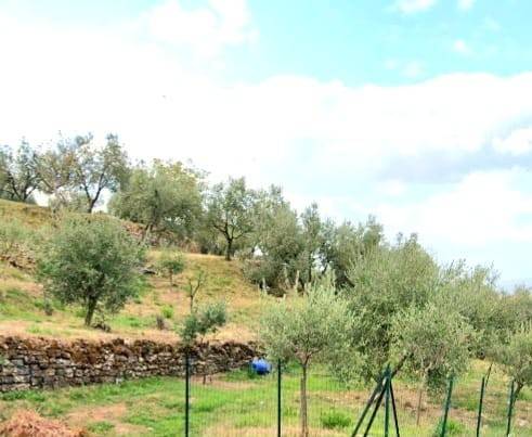 Terreno a Prato in Via delle Lastre - Foto 4
