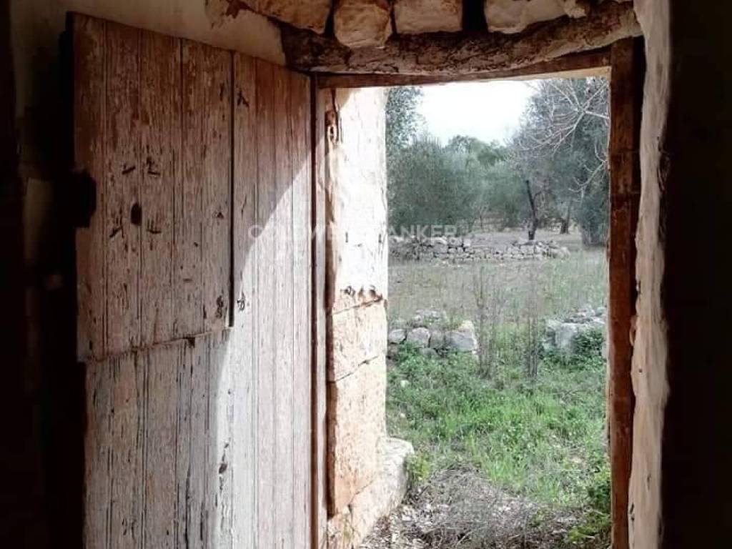 Rustico / casale a San michele salentino in Contrada Cotugni - Foto 3
