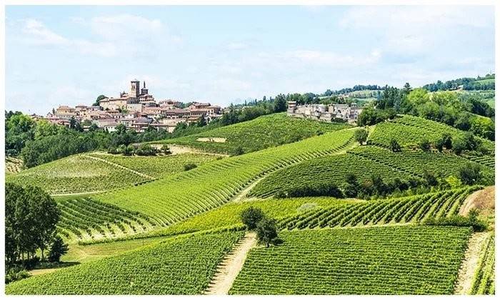 Terreno a Sommariva perno in Località Maunera - Foto 4