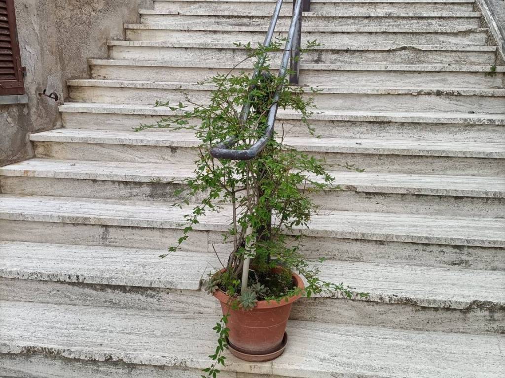 Villa a Monsampolo del tronto - Foto 5
