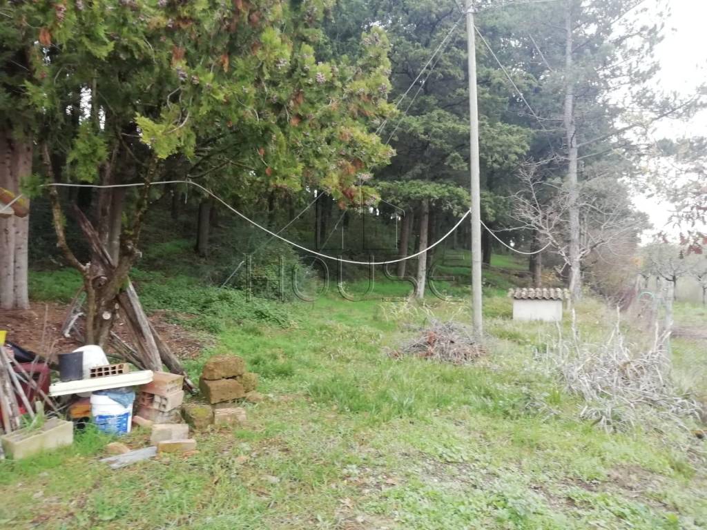 Terreno a Umbertide in Strada Provinciale 203 - Tratto San Benedetto - Foto 2