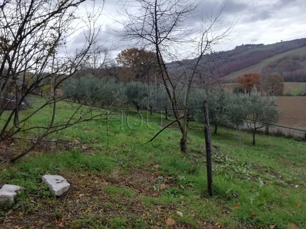 Terreno a Umbertide in Strada Provinciale 203 - Tratto San Benedetto - Foto 3