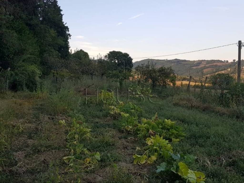Terreno a Umbertide in Strada Provinciale 203 - Tratto San Benedetto - Foto 5