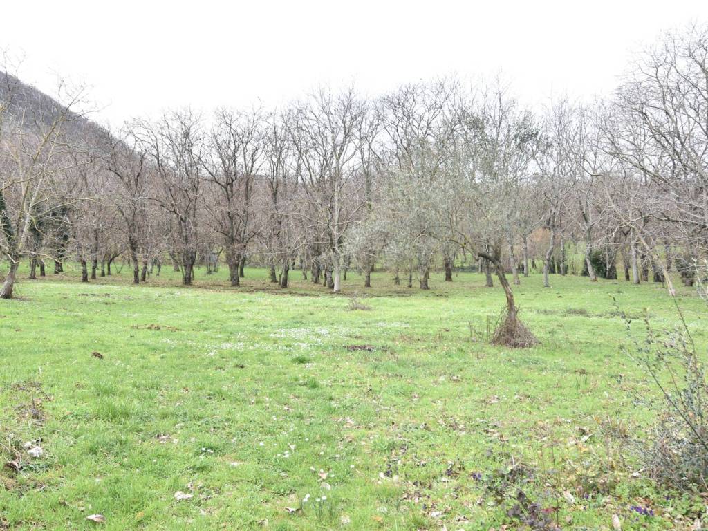 Terreno a Sorbo serpico in Via San Rocco - Foto 4