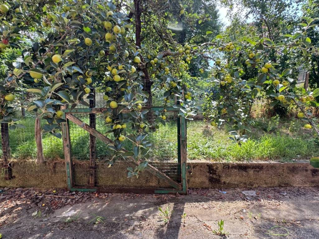 Villetta a schiera a Pallare - Foto 4