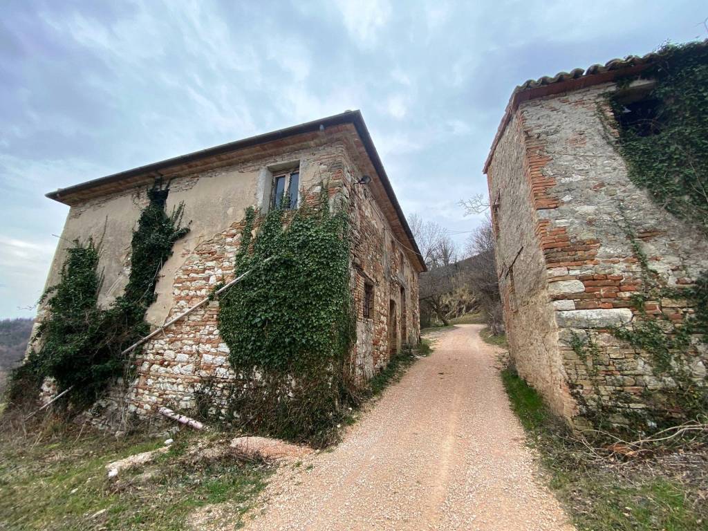 Rustico / casale a San severino marche in Strada Provinciale Apirese - Foto 5
