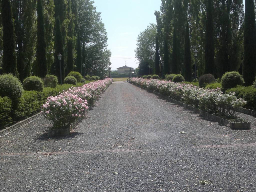Villa a Gattatico in Via Donati - Foto 5