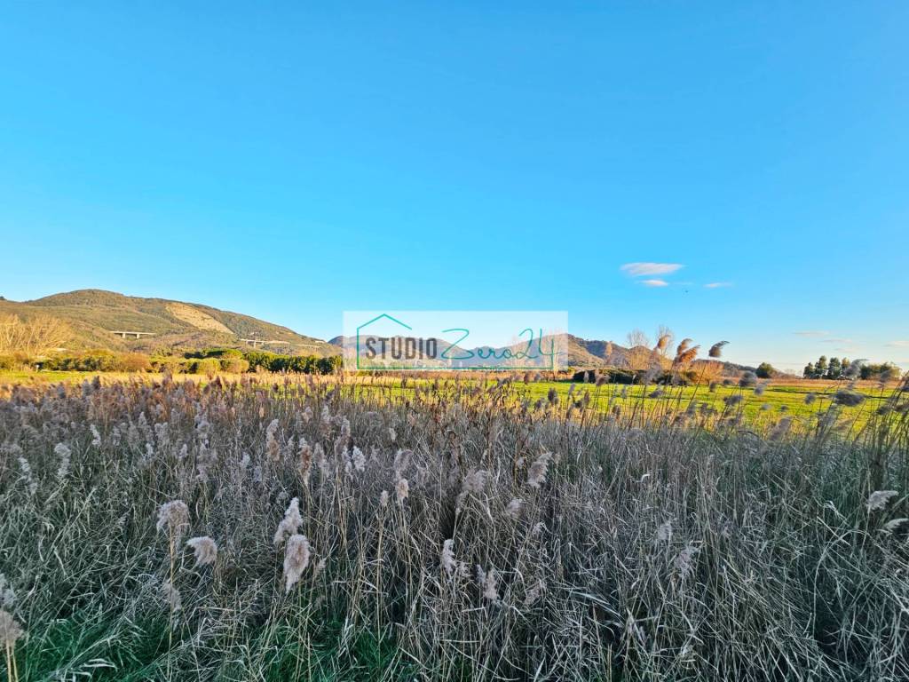 Terreno a Massarosa in via delle lenze - Foto 4