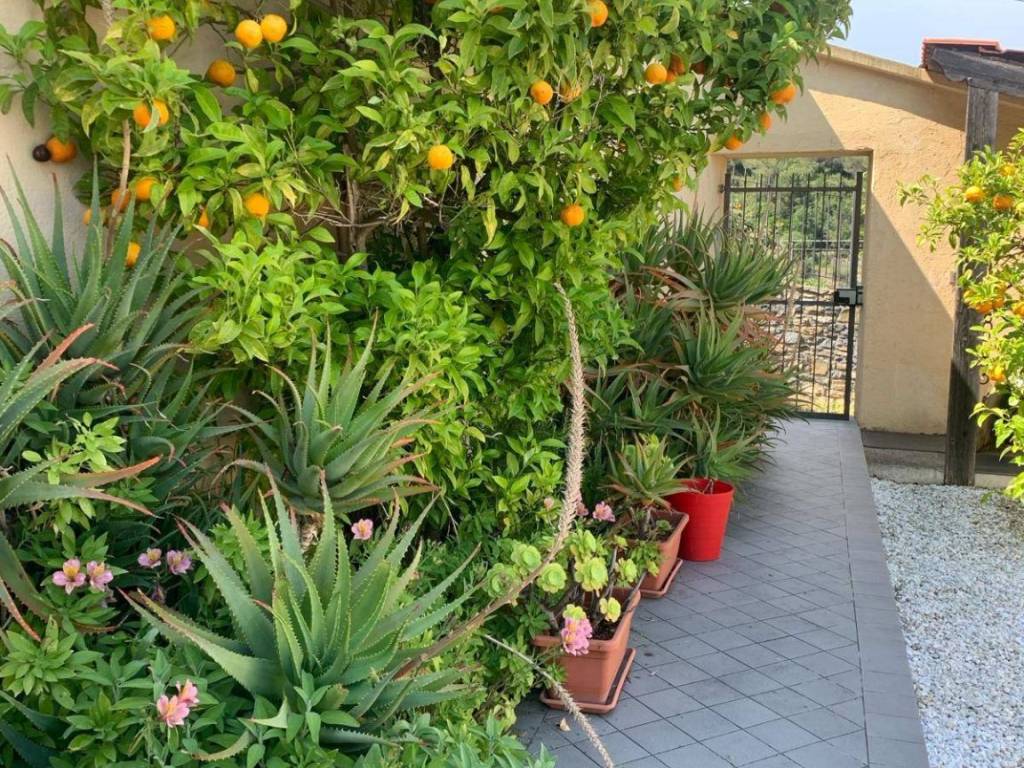 Appartamento a Andora in Via Duomo - Foto 3