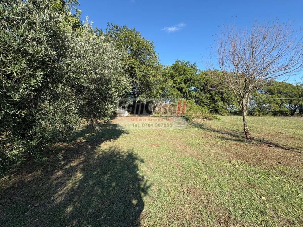 Immobile a Graffignano in Viale Salvo D'Acquisto - Foto 4