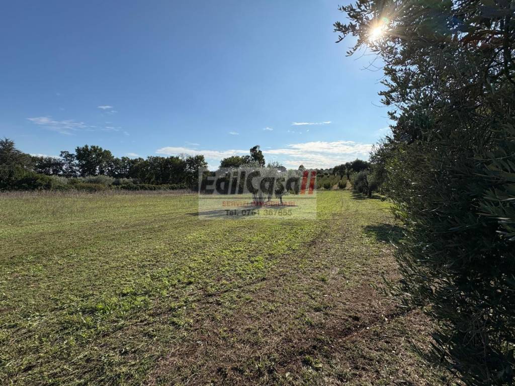 Immobile a Graffignano in Viale Salvo D'Acquisto - Foto 5