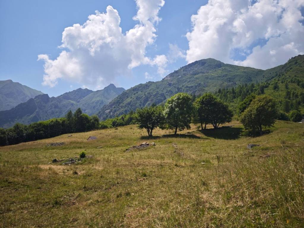 Terreno a Usseglio in Frazione Pian Benot - Foto 5