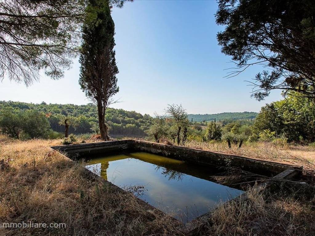 Rustico / casale a Castelnuovo berardenga in SP62 - Foto 4