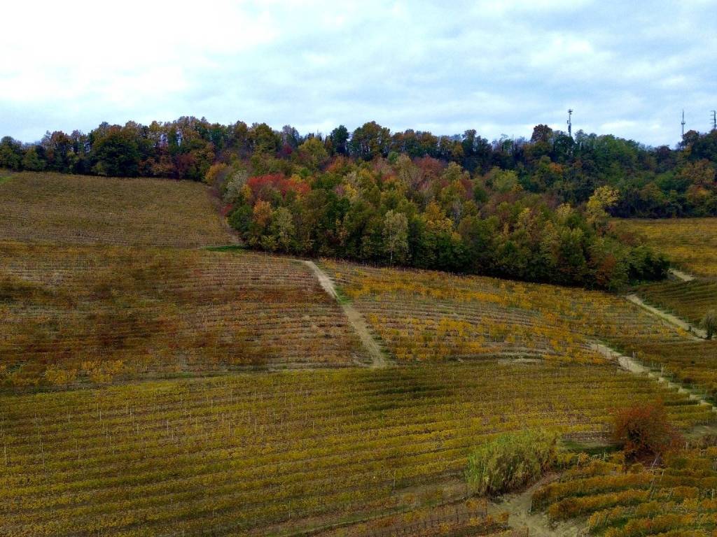 Terreno a La morra in Regione Rocca Croera - Foto 2