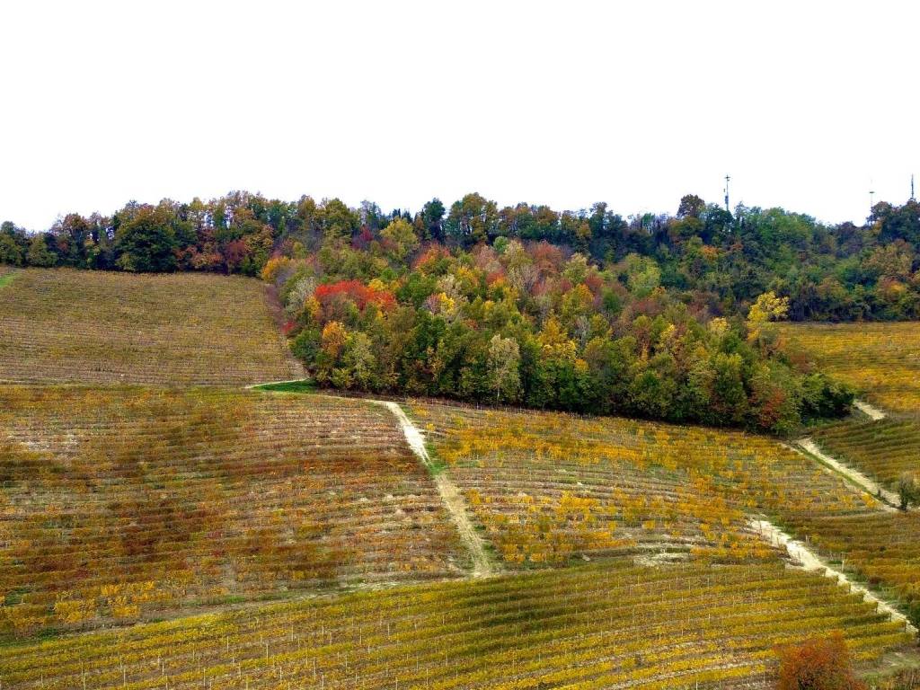 Terreno a La morra in Regione Rocca Croera - Foto 3