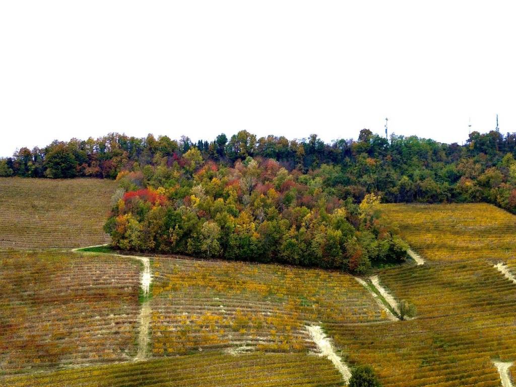 Terreno a La morra in Regione Rocca Croera - Foto 4
