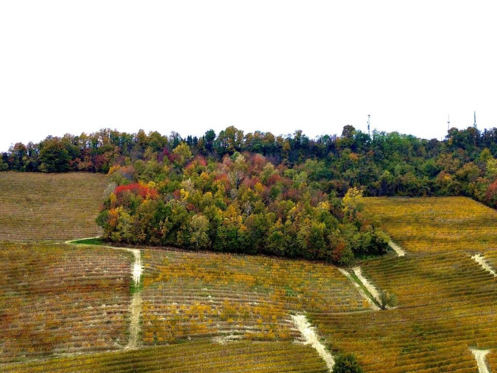 Terreno a La morra in Regione Rocca Croera - Foto 5