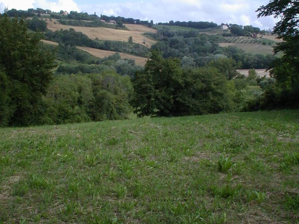 Terreno a Forano in Vocabolo Colle Riano e Passo Castagno - Foto 2