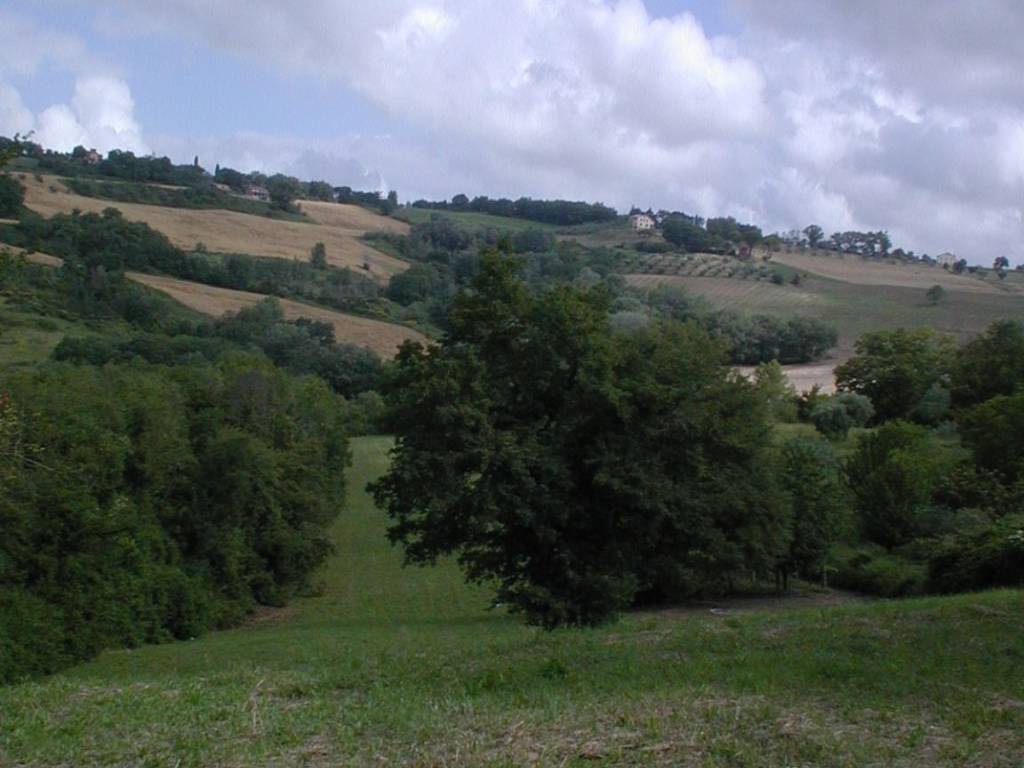 Terreno a Forano in Vocabolo Colle Riano e Passo Castagno - Foto 3