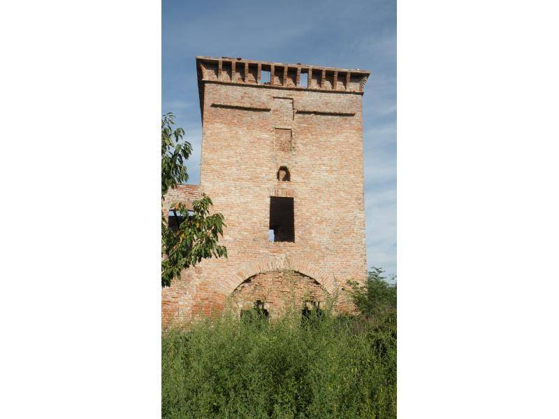 Rustico / casale a Cassine in strada provinciale 30 - Foto 3