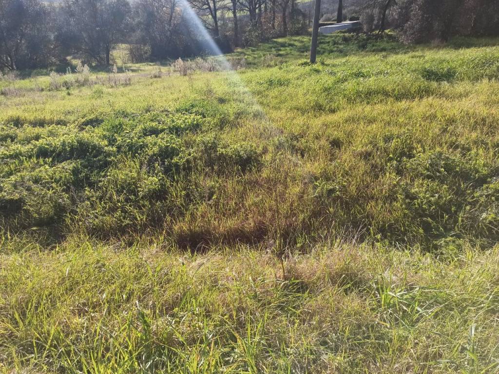 Terreno a Castiglione del lago in Via Pozzuolo, 39 - Foto 2