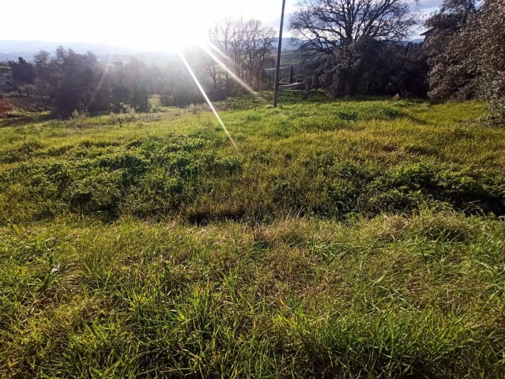 Terreno a Castiglione del lago in Via Pozzuolo, 39 - Foto 4