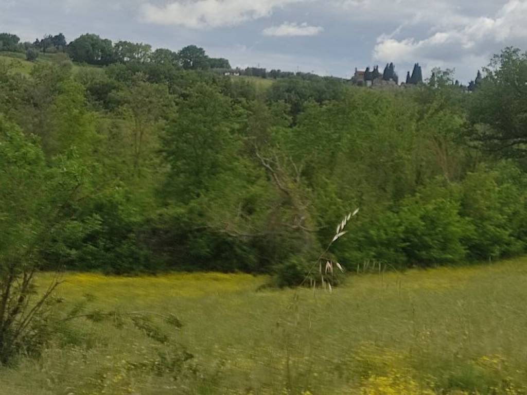 Terreno a Castiglione del lago in Via delle Vigne - Foto 2