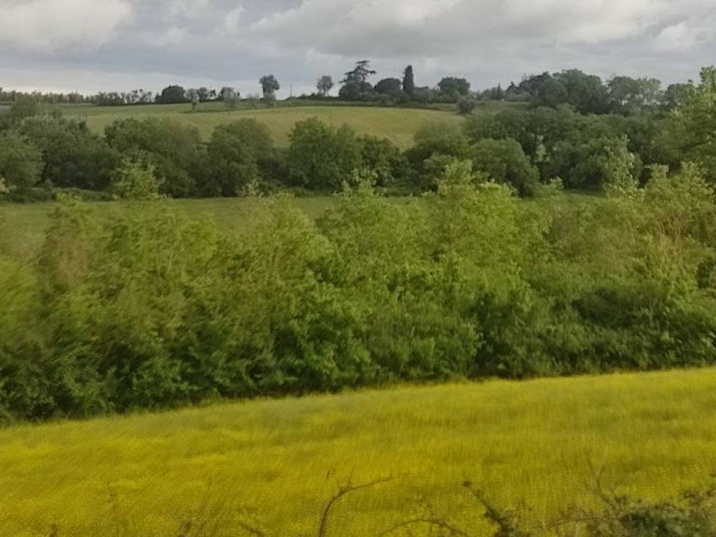Terreno a Castiglione del lago in Via delle Vigne - Foto 3