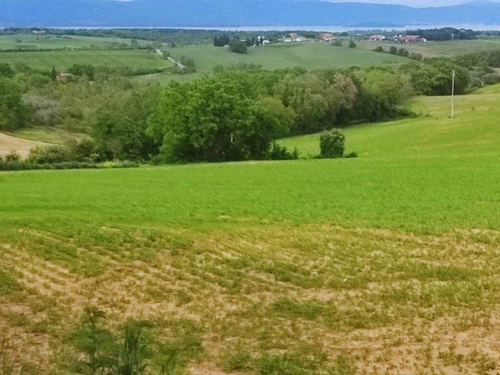 Terreno a Castiglione del lago in Via delle Vigne - Foto 5