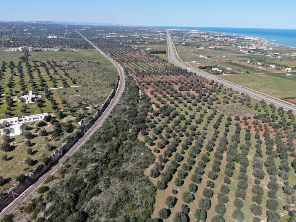 Terreno a Carovigno in Contrada Scianolecchia - Foto 4