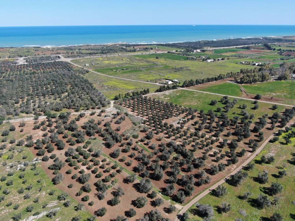 Terreno a Carovigno in SP36 - Foto 2