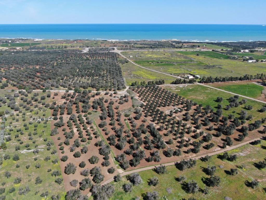 Terreno a Carovigno in SP36 - Foto 3