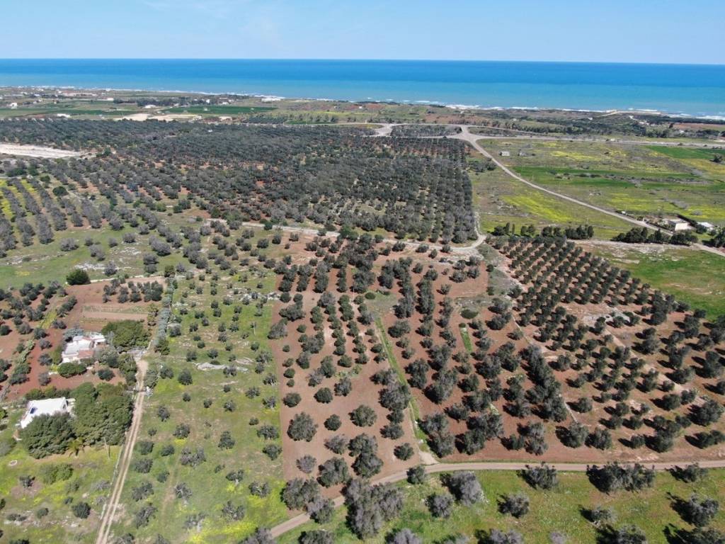 Terreno a Carovigno in SP36 - Foto 4