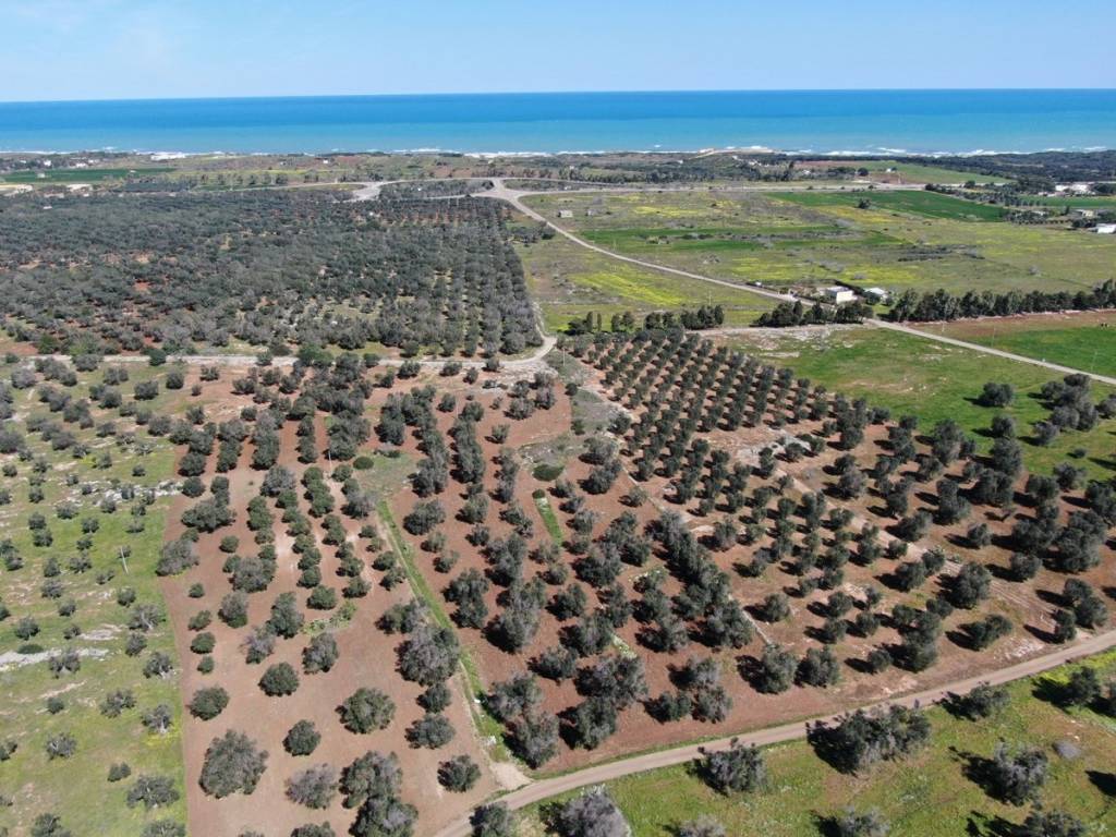 Terreno a Carovigno in SP36 - Foto 5