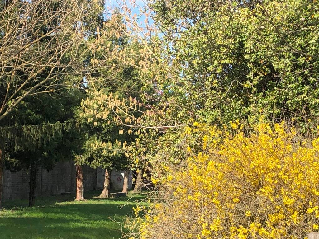 Villa a Mirandola in Via Giovanni Amendola - Foto 3