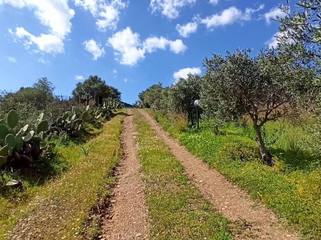 Villa a Muravera - Foto 3