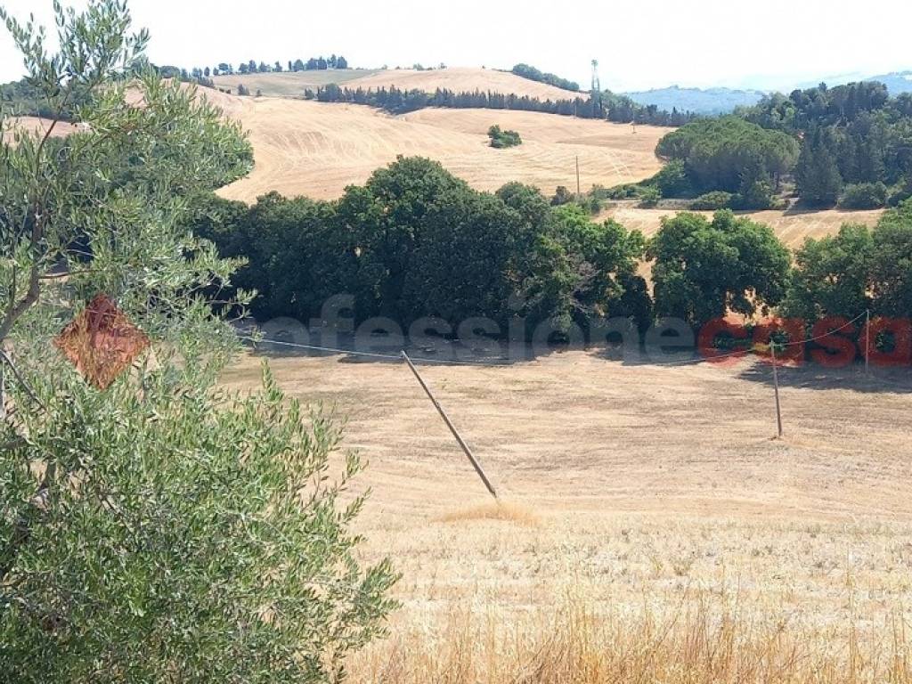 Terreno a Montecatini val di cecina in Via Roma, 3 - Foto 4