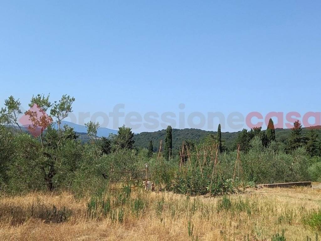 Terreno a Montecatini val di cecina in Via Roma, 3 - Foto 5
